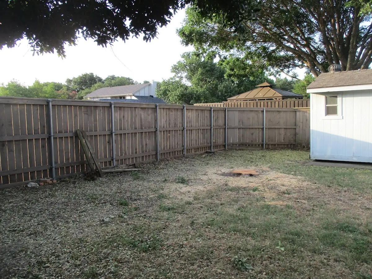 Cleared yard after professional tree removal in Saratoga